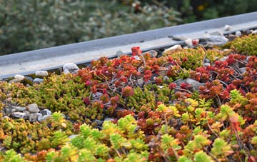 the cost of South Denes green roof installation