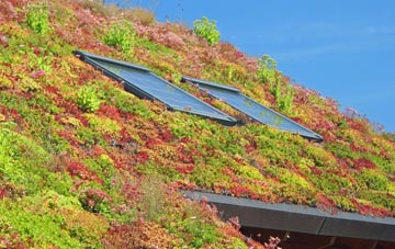 South Denes living roof systems